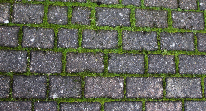 paving and driveway
